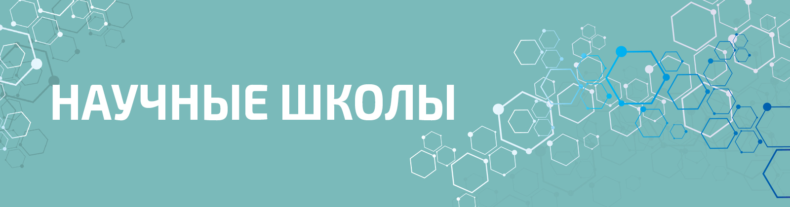 НАУЧНЫЕ ШКОЛЫ